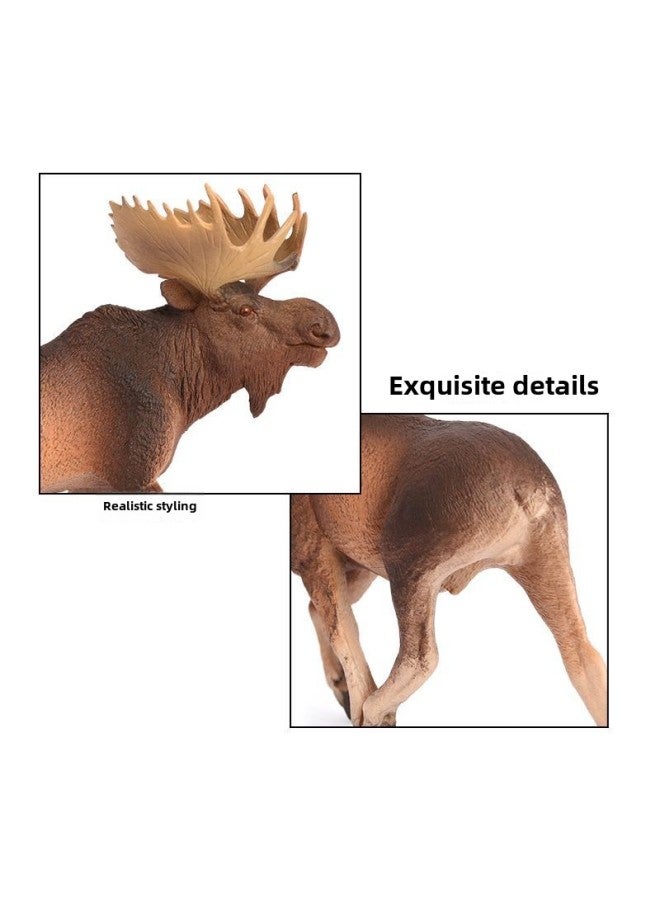Simulation Solid Animal Model Wild Plastic Elephant Giraffe Horse Moose Leopard Children's Cognitive Toy Ornaments-Color:127-3080 Andalusian Gongma - Image 5