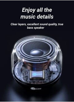 ZHONGXIN Bluetooth Speaker  Outdoor Portable Super Light Dynamic Color Change Light Show  - Image 3