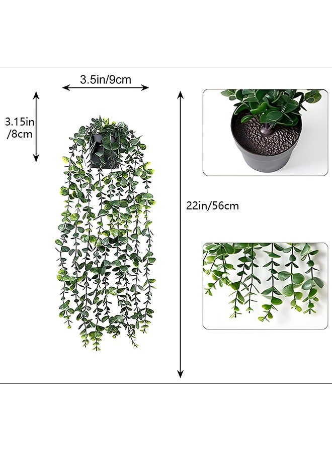 هوب زوزا نباتات الأوكالبتوس الاصطناعية المعلقة في أواني - Image 5