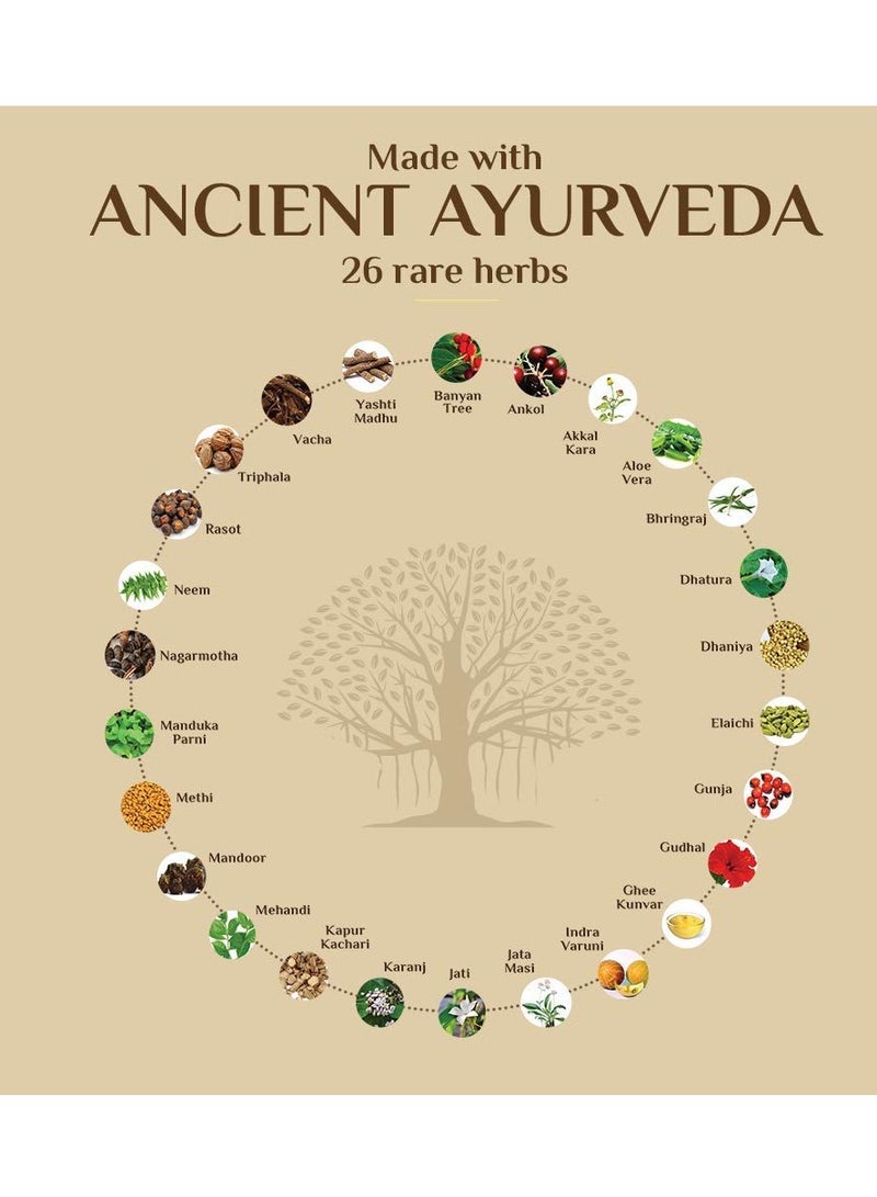 سيسا شامبو وبلسم سيسا أيورفيدا لتقوية الشعر بالجذور القوية للتحكم في تساقط الشعر، 200 مل، عبوة من قطعة واحدة - Image 2