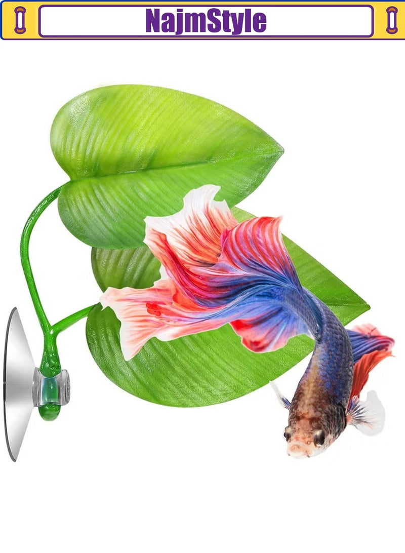 NajmStyle 4 Pieces Betta Bed Leaf Hammock for Betta Fish, Lightweight and Realistic Resting Spot, No BPA, Practical, Comfortable and Safe (Double Leaf) - Image 5