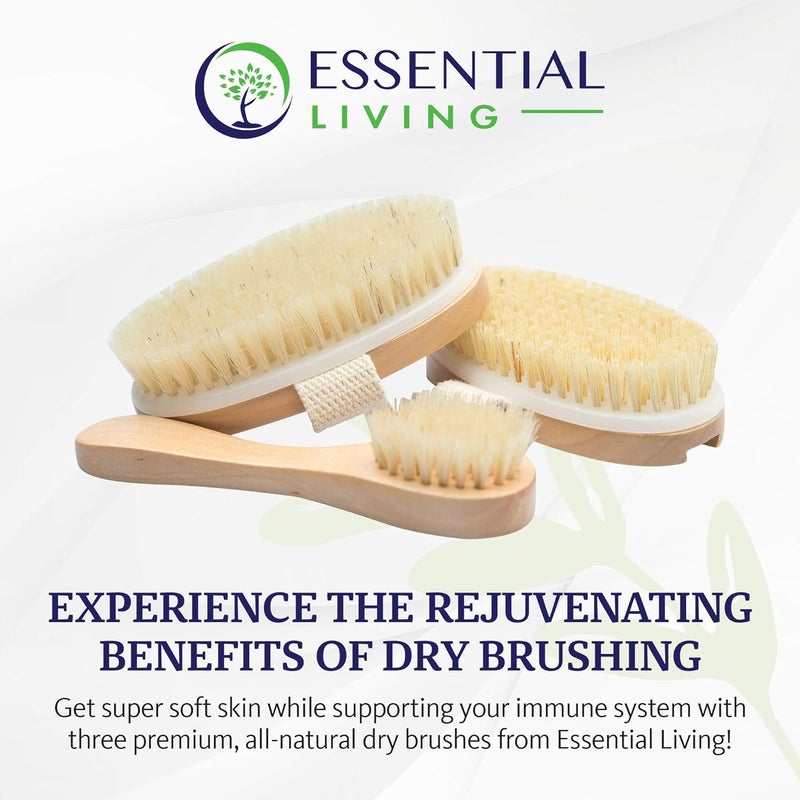 essential Living مجموعة سبا للتقشير الجاف 3 قطع من Essential Living - فرشاة وجه 1 و 2 فرش تقشير للجسم وحقيبة قطنية للعناية بالجسم والبشرة للتقشير وتحفيز الدورة الدموية ونظام اللمف - Image 2