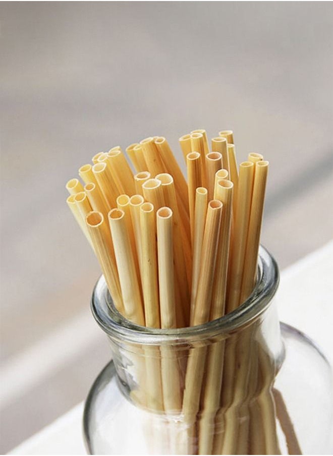 Generic - Eco-Friendly Biodegradable Straws made from plant fibers,200 pieces of 7.1-inch length,perfect for Vegan drinks and environmentally-friendly enthusiasts - Image 1