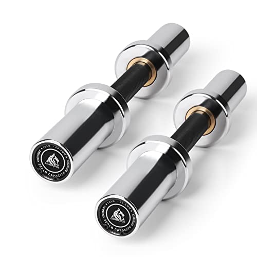 LIONSCOOL 16"/20” Loadable Dumbbells Pairs in Commercial Grade, Heavy Duty Olympic Dumbbell Bar/Handle for Strength Training, Compatible with 2’’ Standard Plates (Silver Chrome, 16 INCH) - Image 1
