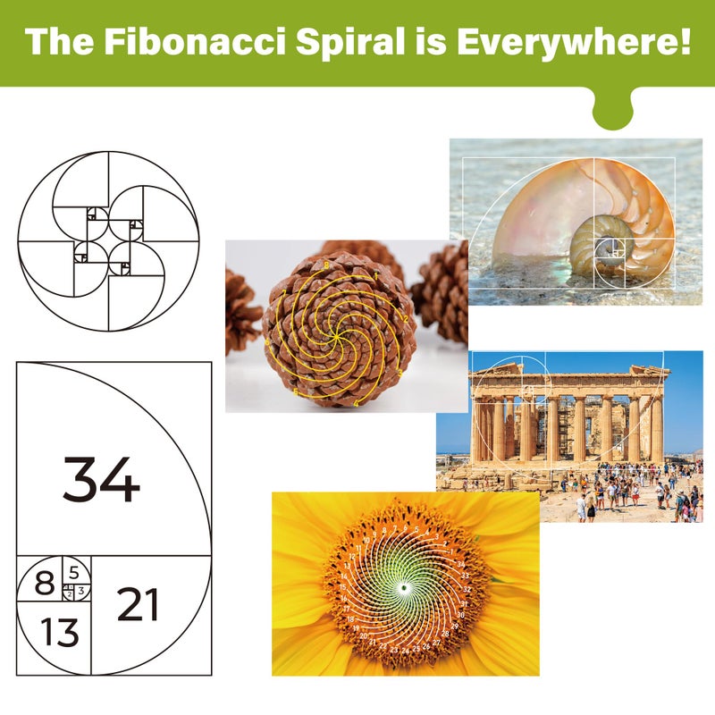 BenBen 1000 Piece Puzzle for Adults, 25 Fibonacci Spirals in Nature, Jigsaw Puzzles with Letters on Back, Challenging Puzzle for Game Night Home DÃ©cor - Image 3