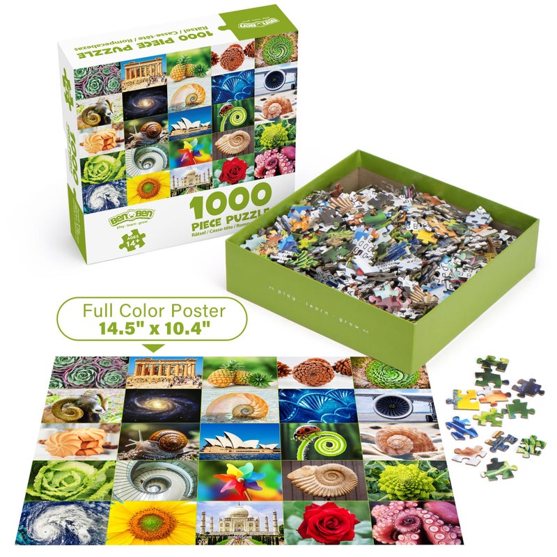 BenBen 1000 Piece Puzzle for Adults, 25 Fibonacci Spirals in Nature, Jigsaw Puzzles with Letters on Back, Challenging Puzzle for Game Night Home DÃ©cor - Image 5