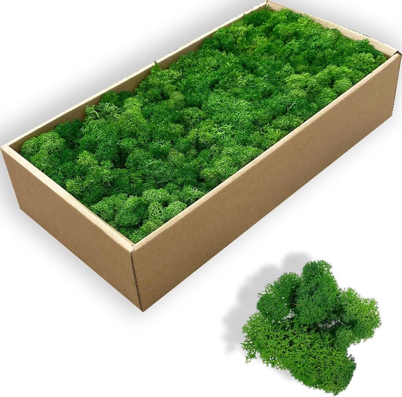 Gusaloo Preserved 5oz Moss Artificial Moss Natural Fresh Green Moss for Craft Handicraft Arts Floral Project Wall Decor Table Decor Wedding Centerpieces Garden Terrariums Decoration-MIdGreen - Image 1
