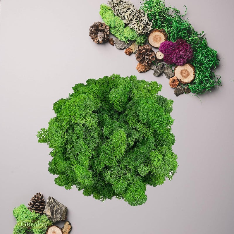 Gusaloo Preserved 5oz Moss Artificial Moss Natural Fresh Green Moss for Craft Handicraft Arts Floral Project Wall Decor Table Decor Wedding Centerpieces Garden Terrariums Decoration-MIdGreen - Image 3