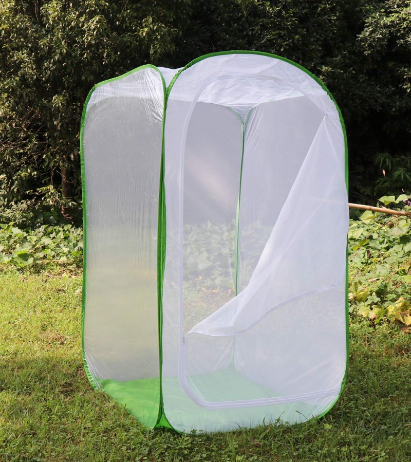 RESTCLOUD 5 Feet Extra Large Monarch Butterfly Habitat, Giant Collapsible Insect Mesh Cage Terrarium Pop-up (White + Green, 35 x 35 x 59 Inches) - Image 4