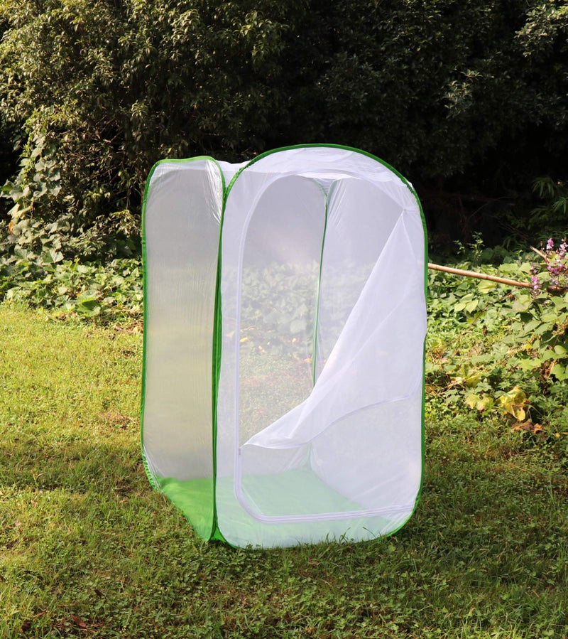 RESTCLOUD 5 Feet Extra Large Monarch Butterfly Habitat, Giant Collapsible Insect Mesh Cage Terrarium Pop-up (White + Green, 35 x 35 x 59 Inches) - Image 3