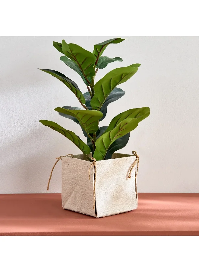 Home Box Bella Canvas Square Box Planter with Raffia Strings - 15x15 x15 cm