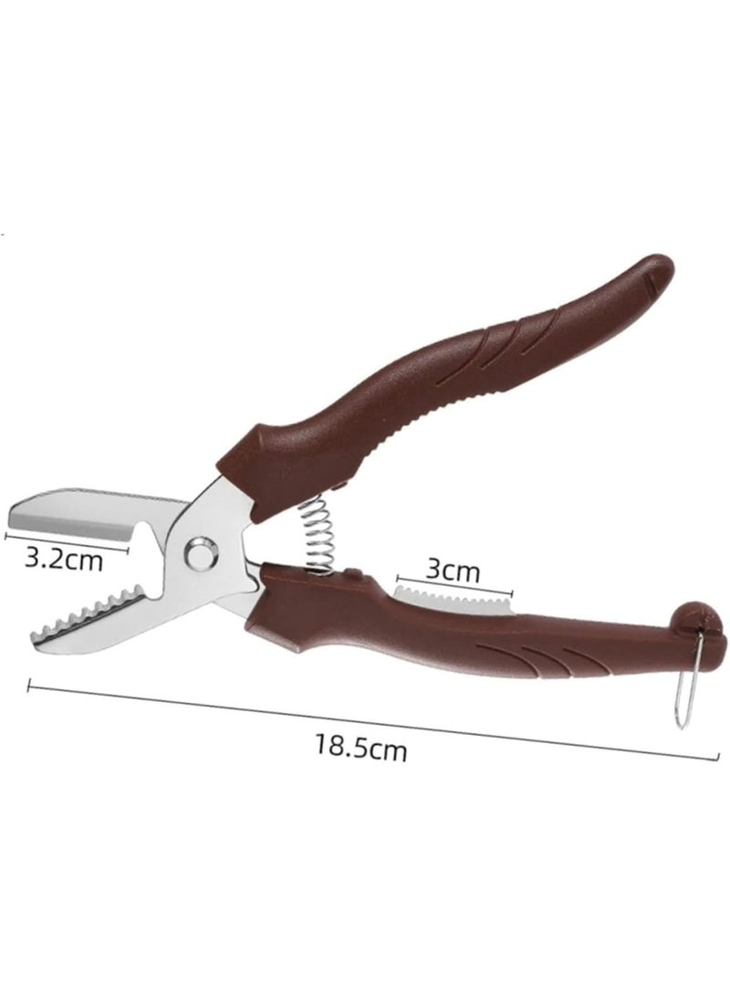 SOLARAE أداة تقشير الكستناء، أداة كسر الجوز - فتاحة قشور ثقيلة للمكسرات - كسر الجوز والبيكان للمأكولات البحرية - Image 5