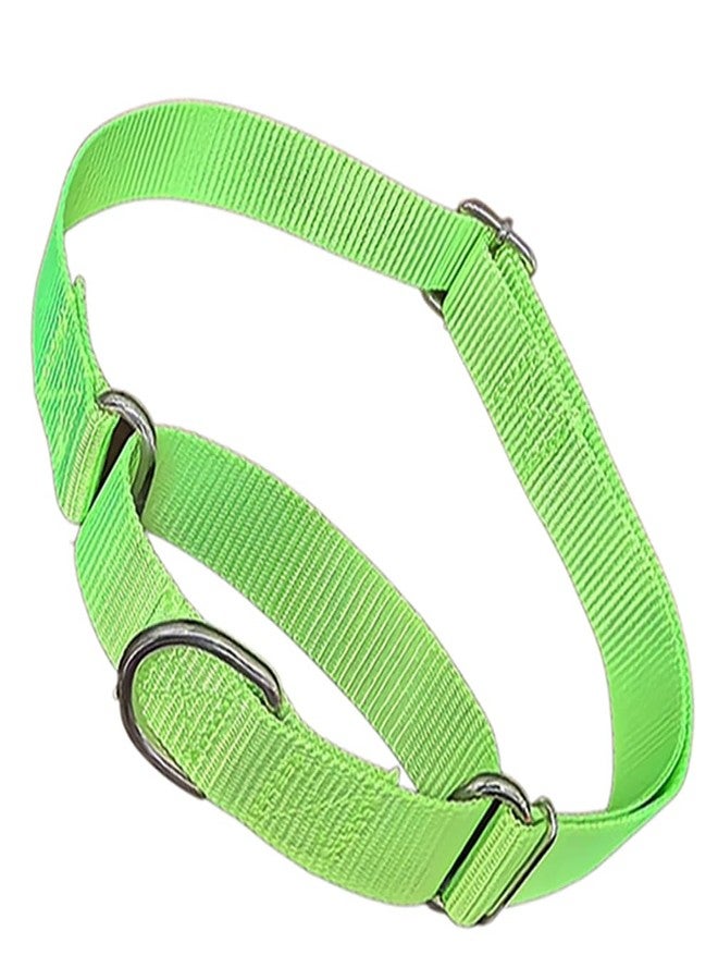 cyhaen Martingale Collar for Dogs,Soft Nylon Choker Collar for Dogs,Training Escape Proof Heavy Duty Choke No Pull Collars Adjustable for Small Medium Large Pet Girl Female Dogs,Green S - Image 1