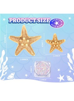 Starfish Hair Clip, 4Pcs Starfish Hair Clips Mermaid Hair Accessories, 1Pcs Face Body Glitter, Mermaid Costume Women, Seashell Hair Clip, Mermaid Outfit For Women, Girls - pzsku/ZA9F209EEB6EE95E4170AZ/45/_/1734182933/d63e2518-9337-4afc-801c-9a82b9a7a8dc