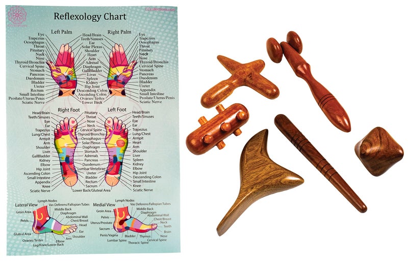 CCcollections Wood Therapy Massage Tools Reflexology Wooden Stick Tool Traditional Equipment for Relieving Muscle Pain Body Lymphatic Drainage Massager G 6SET