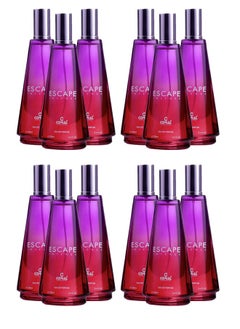 ESCAPE INTENSE for Women EDP 100ml - 12 Pieces. - pzsku/ZA9F26C2BE5F2FF1BF079Z/45/_/1720165955/129e98d4-33ce-48b9-9f02-bb2b02024022