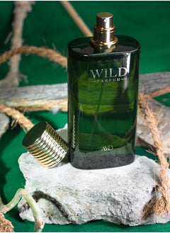 عطور ايه ام دي عطر وايلد من AMD للرجال والنساء EDP 100 مل  - Image 3
