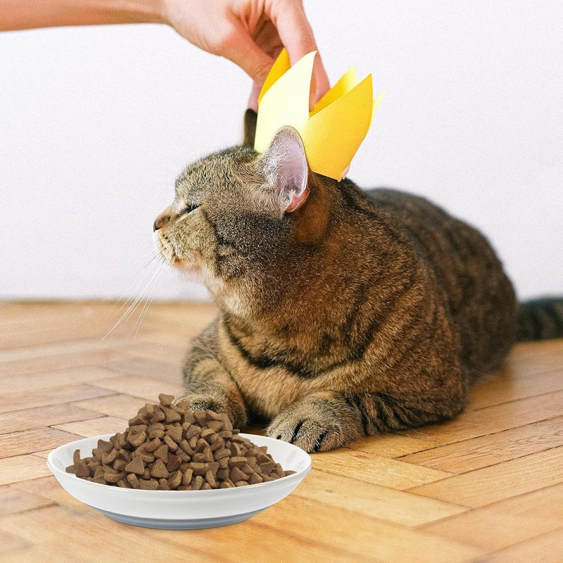 Ceramic Cat Food Bowls 3pcs Set with Non-Slip Gray Silicone Base Shallow Wide Small Pet Food and Water Dishes for Indoor Cats and Kittens - Image 5