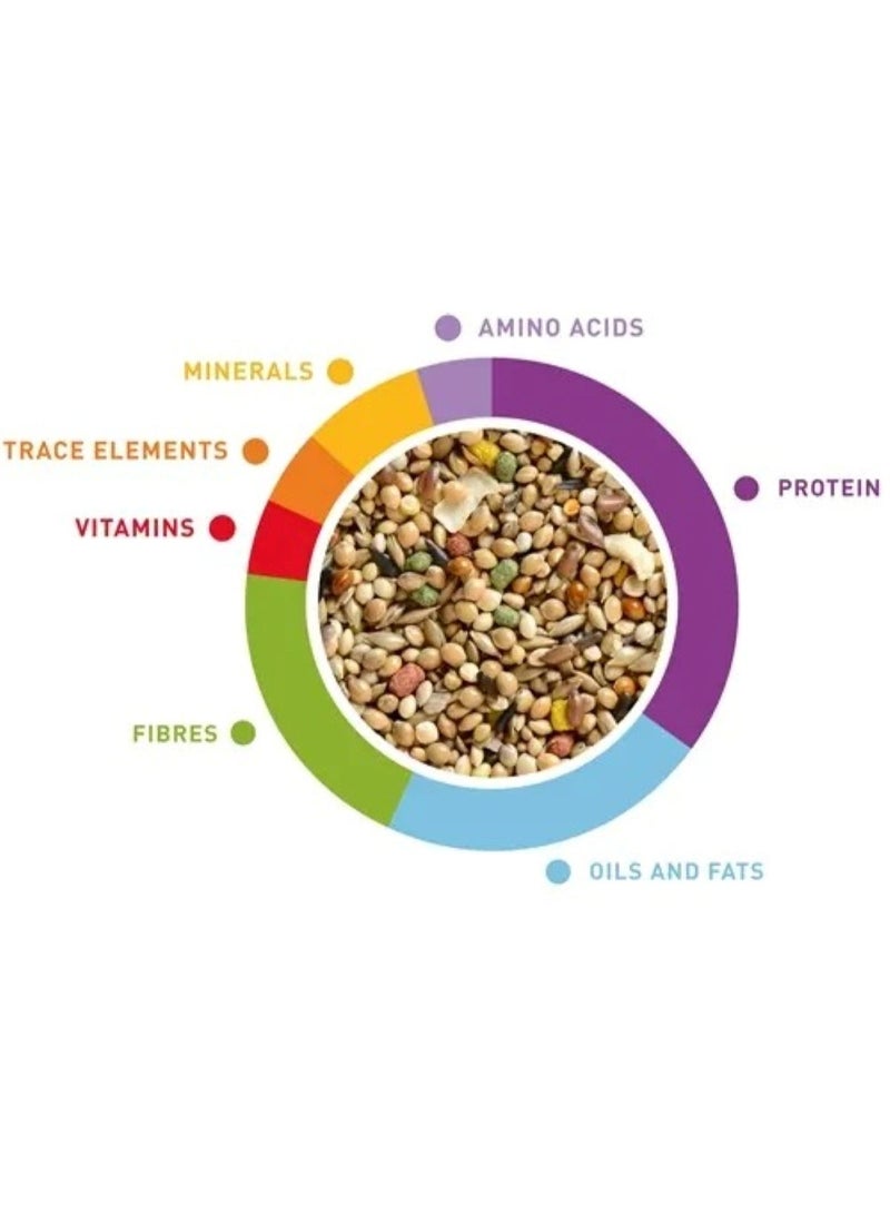 Padovan Wellness Tropical Finches 1 Kg - Image 2