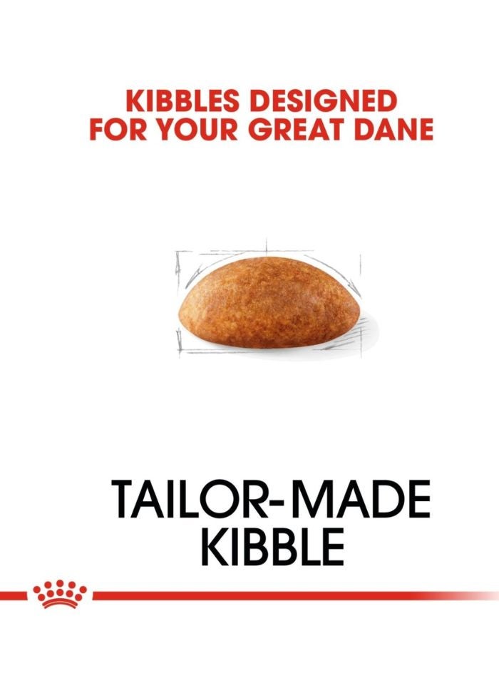 ROYAL CANIN Breed Health Nutrition Great Dane Adult 12 KG - Image 2