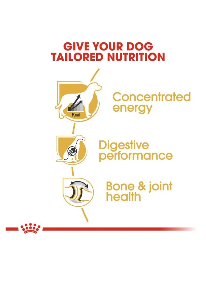 ROYAL CANIN Breed Health Nutrition Great Dane Adult 12 KG - Image 3