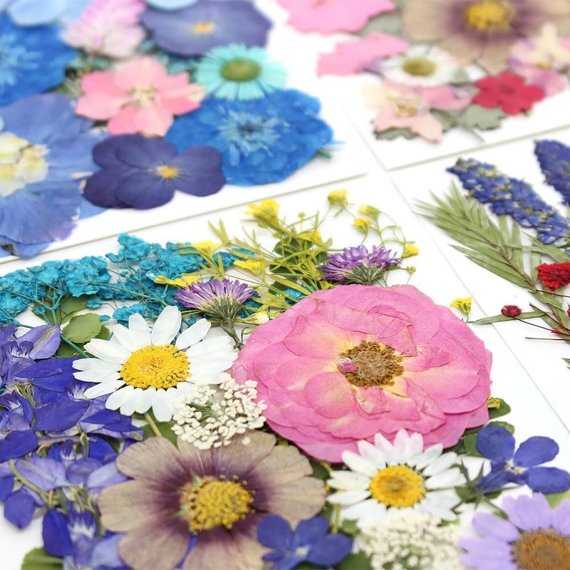 Buzidao 80Pcs Dried Pressed Flowers, Natural Pressed Flowers for Epoxy Resin Molds, Handcrafts, Home Decor, Candle Holder, Bookmarks, DIY Craft Art, Photo Frame, Multi Color - Image 4