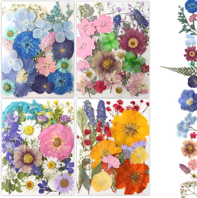 Buzidao 80Pcs Dried Pressed Flowers, Natural Pressed Flowers for Epoxy Resin Molds, Handcrafts, Home Decor, Candle Holder, Bookmarks, DIY Craft Art, Photo Frame, Multi Color - Image 1