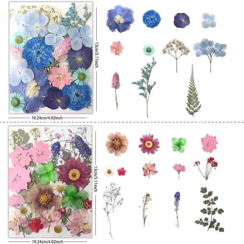Buzidao 80Pcs Dried Pressed Flowers, Natural Pressed Flowers for Epoxy Resin Molds, Handcrafts, Home Decor, Candle Holder, Bookmarks, DIY Craft Art, Photo Frame, Multi Color - Image 3