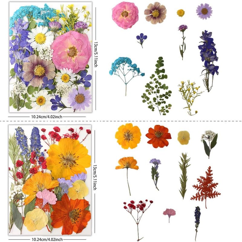 Buzidao 80Pcs Dried Pressed Flowers, Natural Pressed Flowers for Epoxy Resin Molds, Handcrafts, Home Decor, Candle Holder, Bookmarks, DIY Craft Art, Photo Frame, Multi Color - Image 2