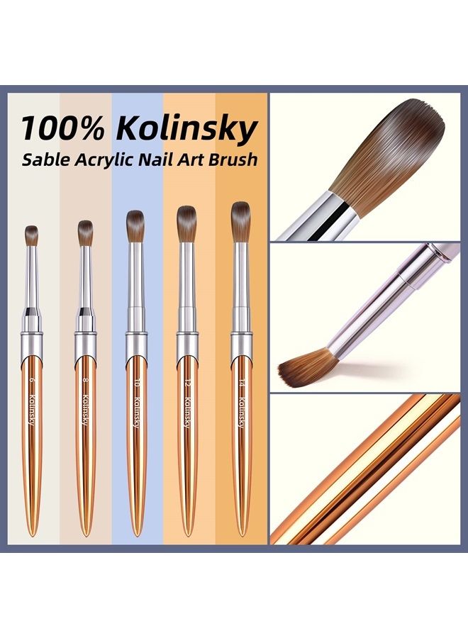 GSWOI 100% Kolinsky Acrylic Nail Brush, pure handmake Round Shape (Size # 6/8/10/12/14) Acrylic Art Brush for Nail Acrylic Application, Professional Nail Art Brush Manicure for Women (#8) - Image 4