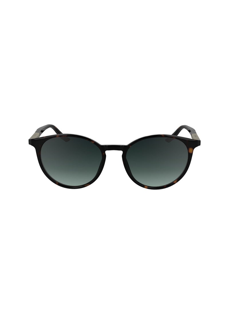 CALVIN KLEIN - Round Sunglasses Ck24539S - Image 1