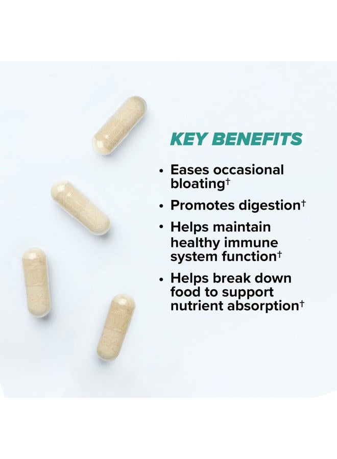 Onnit Total Gut Health Daily Digestive Support, Complete Digestion Supplement for Women and Men with 7 Strains of Probiotics, Prebiotics, Enzymes and Betaine HCL, 60 Count - Image 3