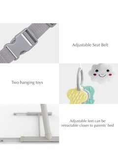 Bumble & Bird Bumble & Bird - Adjustable Bedside Bassinet W/ Wheels - Grey  - Image 3