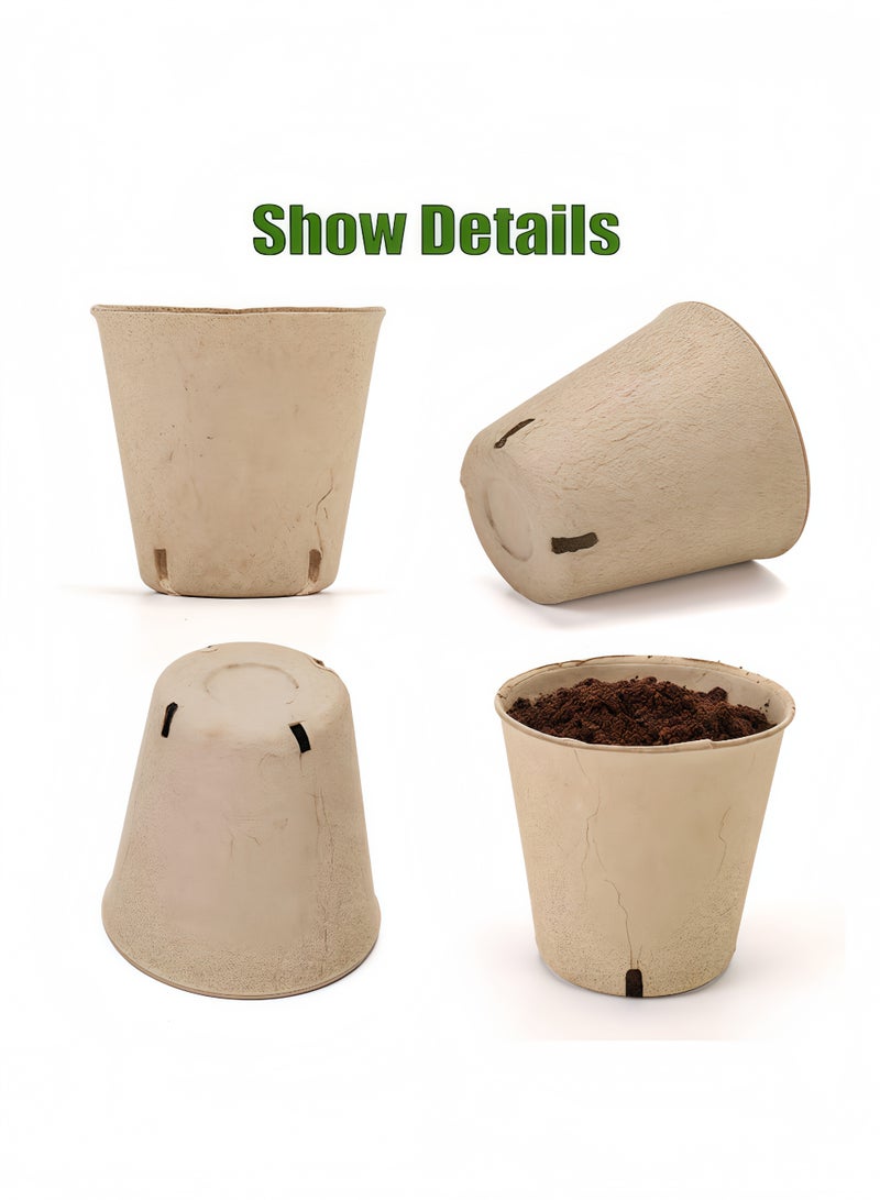 Peachjoy Peat Pots, 100pcs 8cm Seed Starting Pots with Drainage Holes Round Nursery Pot, Biodegradable Round Plant Seed Starter Peat Pots Germination Seedling Trays  - Image 3
