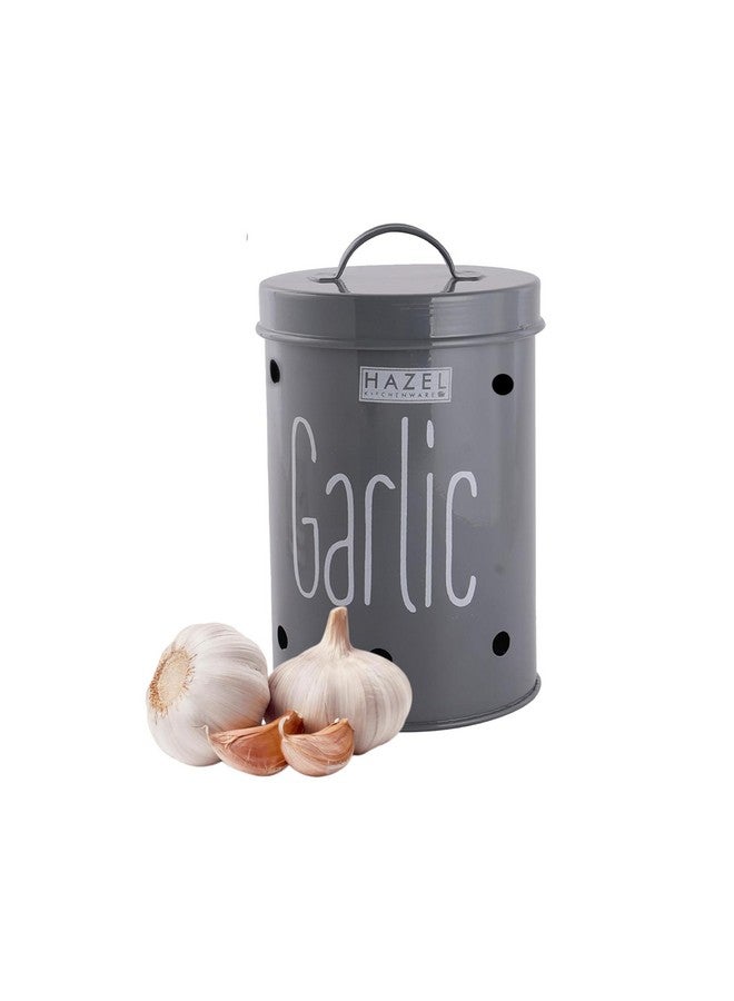 Hazel حاوية تخزين بصل البطاطس هازيل للمطبخ (رمادي، ثوم) - Image 1