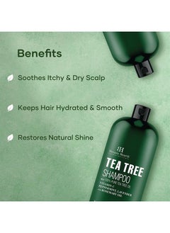 Botanic Hearth Tea Tree Shampoo, Vitamin C, Peppermint, Lavender and Rosemary Oil, Fights Dandruff and Dry Scalp, 16 fl oz  - Image 2