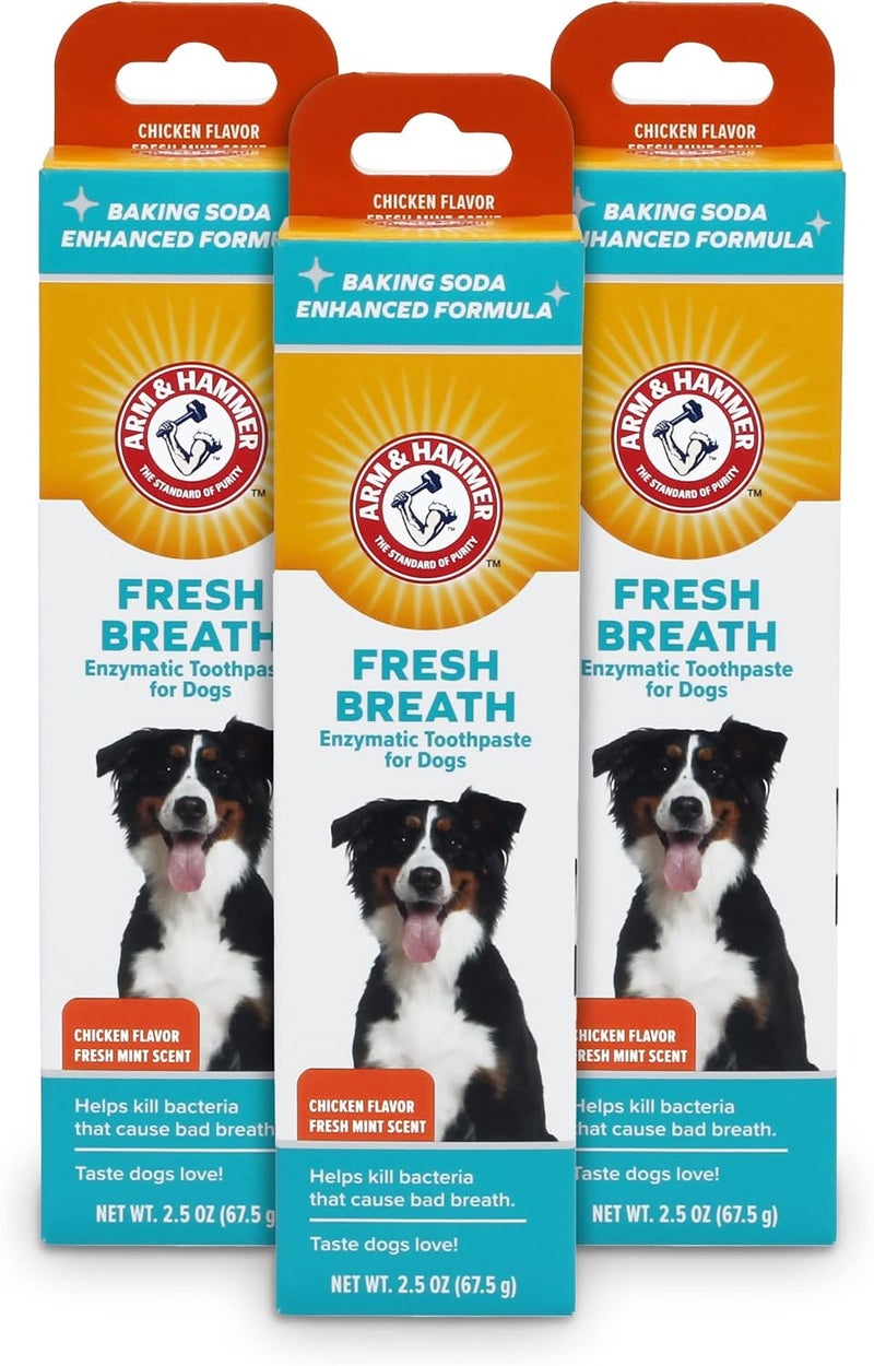 for Pets Dental Toothpaste for Dogs | No More Doggie Breath | Safe for All Dogs and Puppies | Chicken Flavor Dog Toothpaste - 2.5 Ounce - 3 Pack - Image 1