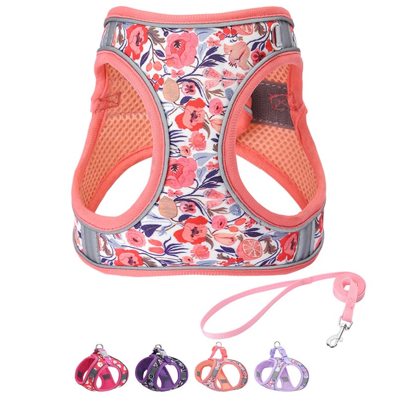 Flymind Step in Dog Harness and Leash Set, Flower Adjustable Easy Walk Puppy Harnesses, Soft Mesh Pet Vest Harness Small Size Dog Adjustable No Pull Dog Harness for Small Medium Dogs(Pink, XS) - Image 1