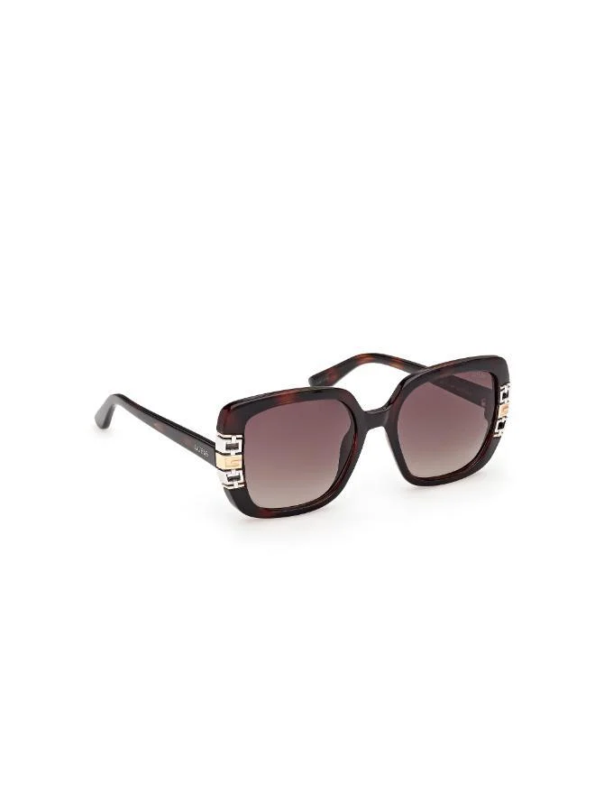 GUESS  oversized sunglasses for Women | Best Price UAE