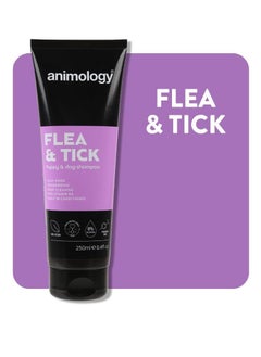 Flea and Tick Dog Shampoo 250ml - pzsku/ZAA03DBF6B8C3237319B5Z/45/_/1739283241/af8a0da4-2f6c-43f0-ab35-f1210f63e3a7