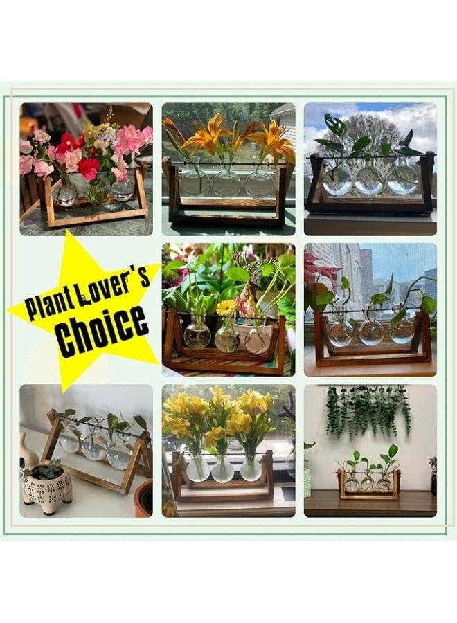 مزهرية نبات مع حامل خشبي، زهرة معمرة زجاجية على شكل لمبة مع حامل دوار معدني على الطاولة بطراز عتيق لتصميمات الزراعة في الماء في المنزل والحديقة والمكتب - 3 لمبات زجاجية. - Image 4