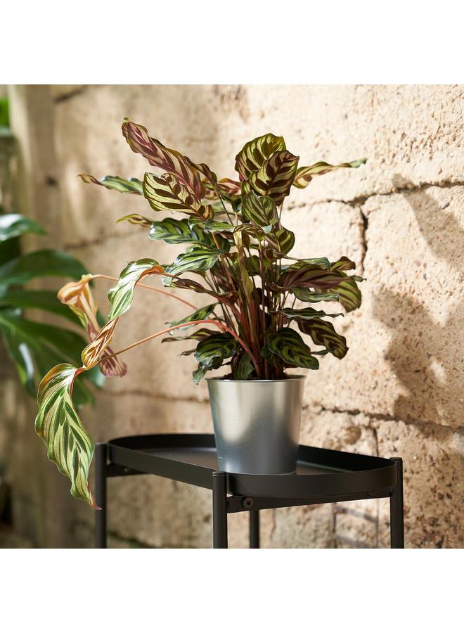 Zaboon Plant Pot, In/Outdoor/Galvanised, 12 Cm - Image 3