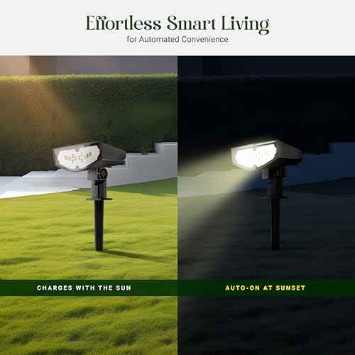 Dylect® Eco Solar Garden Light Outdoor, Pathway, Yard, Terrace Garden, 2 Colors in 1, IP44 Waterproof, Long 8Hr Runtime with Auto On/Off Feature (Cool White + Warm White) - Image 4
