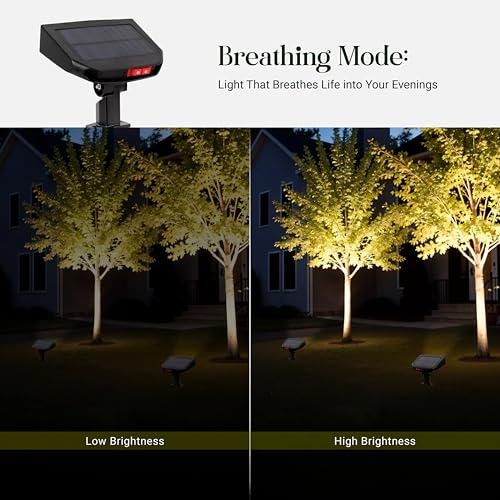 Dylect® Eco Solar Garden Light Outdoor, Pathway, Yard, Terrace Garden, 2 Colors in 1, IP44 Waterproof, Long 8Hr Runtime with Auto On/Off Feature (Cool White + Warm White) - Image 5