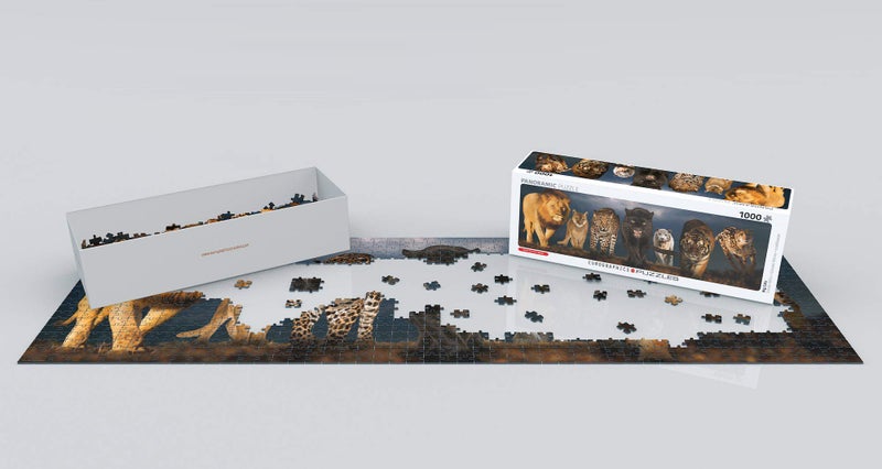 eurographics Big Cats - Image 3