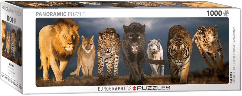 eurographics Big Cats - Image 1