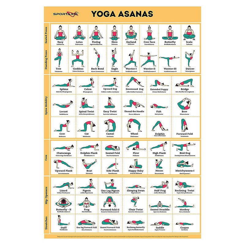SPORTAXIS Yoga Poses Poster- 64 Yoga Asanas For Full Body Workout- Laminated Home Workout Poster With Colored Illustrations - English And Sanskrit Names - Image 1