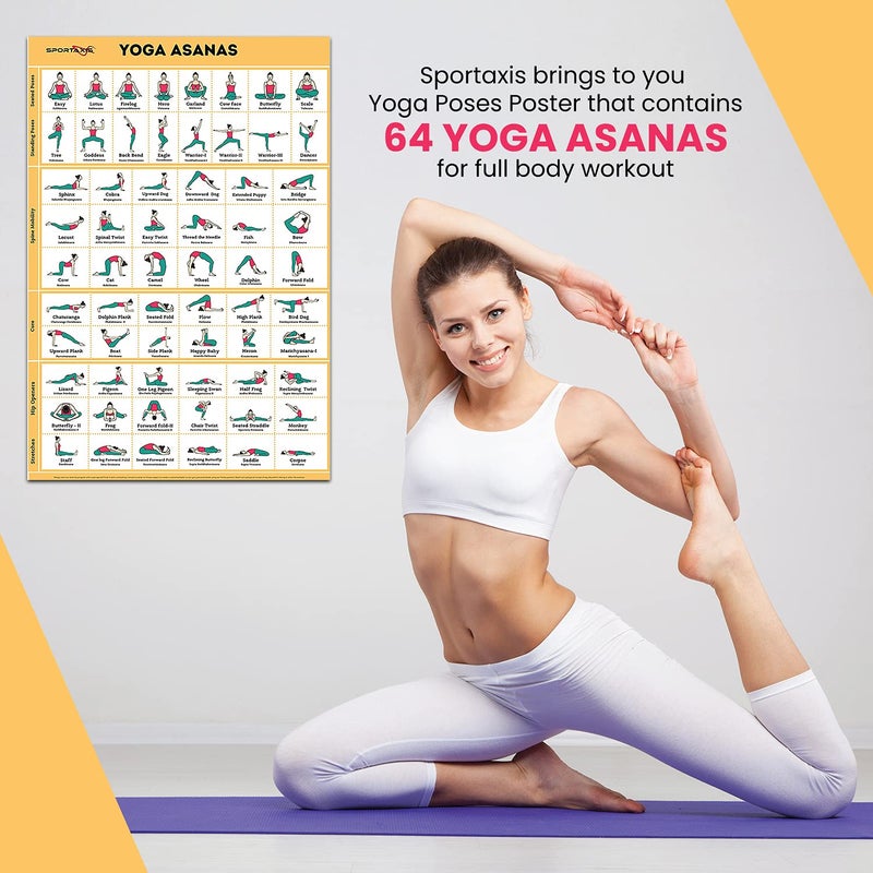 SPORTAXIS Yoga Poses Poster- 64 Yoga Asanas For Full Body Workout- Laminated Home Workout Poster With Colored Illustrations - English And Sanskrit Names - Image 2
