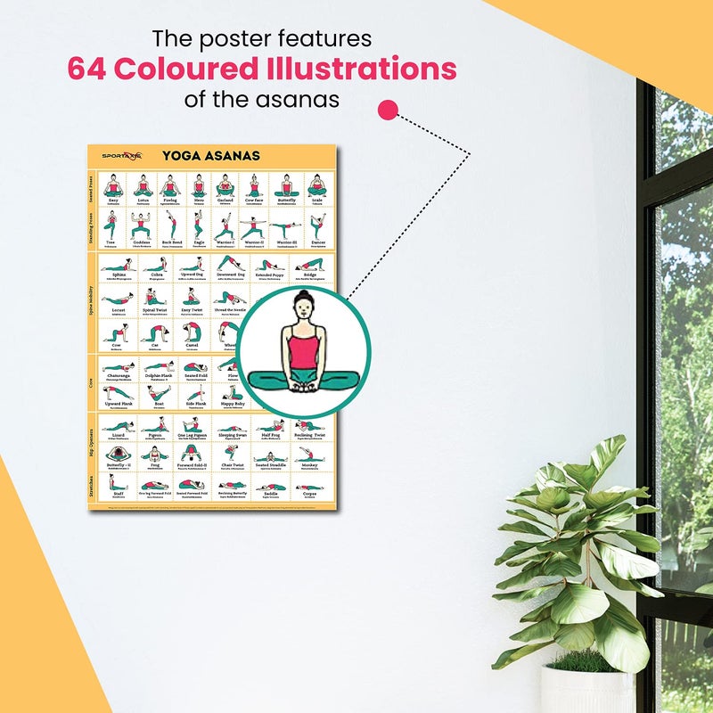 SPORTAXIS Yoga Poses Poster- 64 Yoga Asanas For Full Body Workout- Laminated Home Workout Poster With Colored Illustrations - English And Sanskrit Names - Image 4