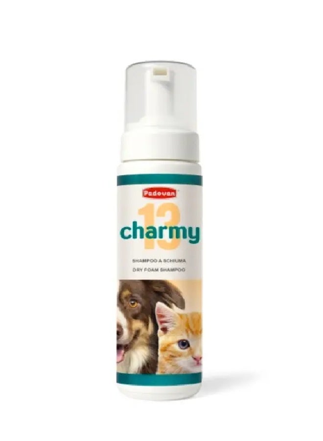 Dry Foam Shampoo Charmy - 200ML